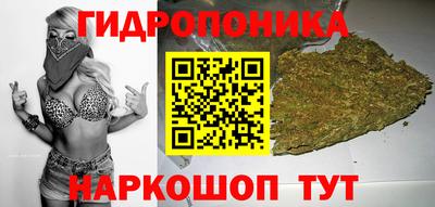 ПСИЛОЦИБИНОВЫЕ ГРИБЫ Будённовск
