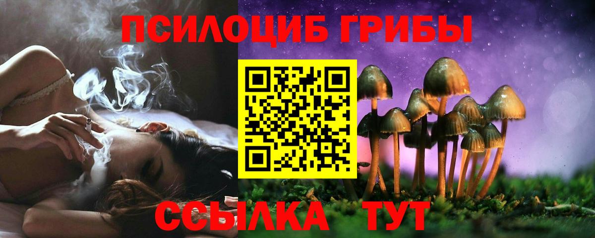 Псилоцибиновые грибы Psilocybine cubensis Ноябрьск